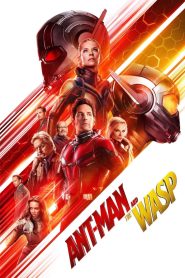 Ant-Man and the Wasp | مرد مورچه‌ای و زنبورک