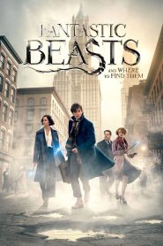 Fantastic Beasts and Where to Find Them | جانوران شگفت‌انگیز و زیستگاه آن‌ها