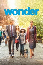 Wonder | واندر