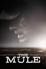 The Mule | قاطر