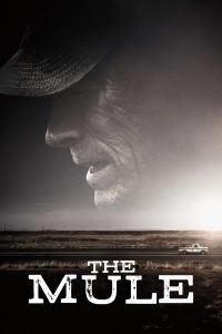 The Mule | قاطر