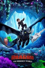 How to Train Your Dragon: The Hidden World | چگونه اژدهای خود را تربیت کنیم: دنیای پنهان